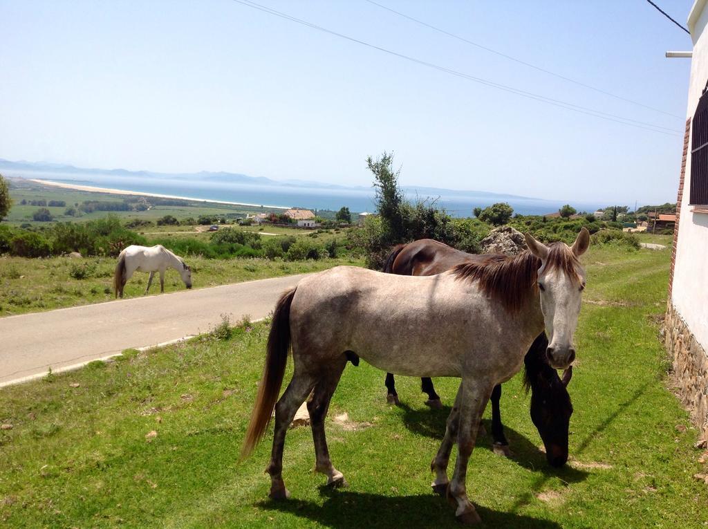 El Estrecho Tarifa