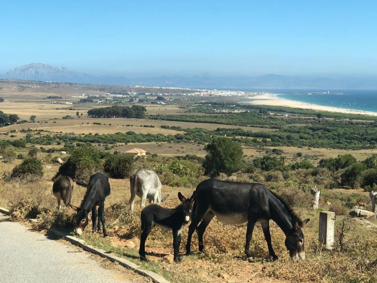 El Estrecho Tarifa